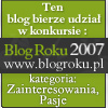 Blog roku 2007