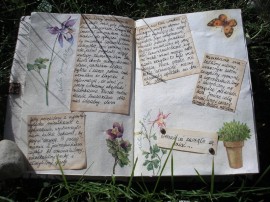 Ogrodowy pamiętnik - Garden diary