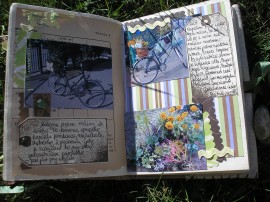 Ogrodowy pamiętnik - Garden diary