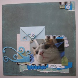 Smelly cat layout