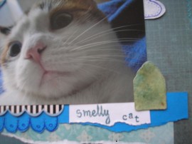 Smelly cat layout